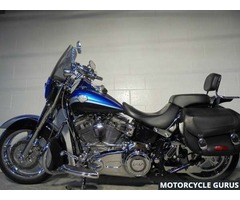 2010 Harley-Davidson FLSTSE